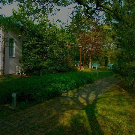 Rose Canine B&B-2