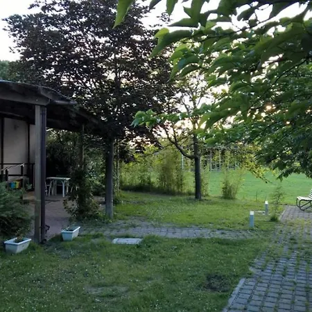 Rose Canine B&B-3